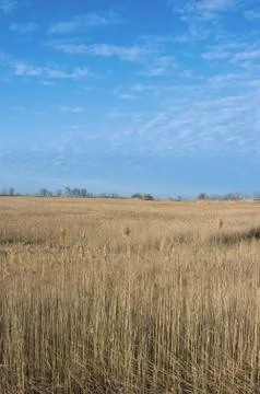 Dry Land Stock Photos