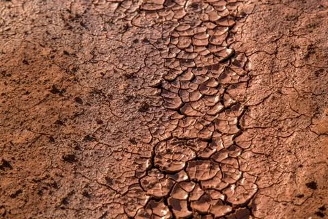 Dry land Stock Photos