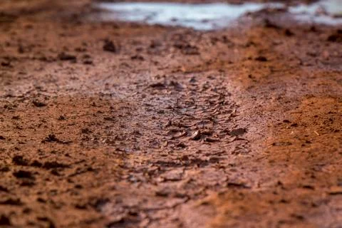 Dry land Foto stock