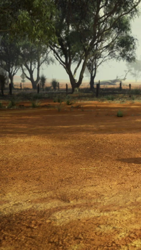 Dry land with sparse vegetation and distant trees during midday Stock Footage 332226322