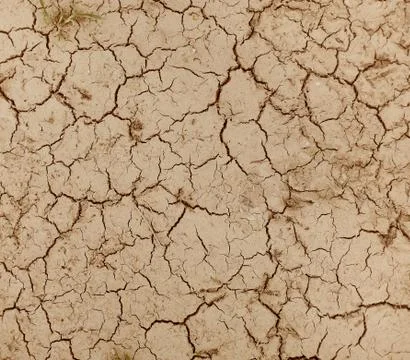 Dry land texture Stock Photos