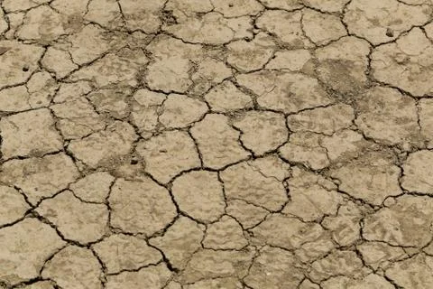 Dry land texture Stock Photos