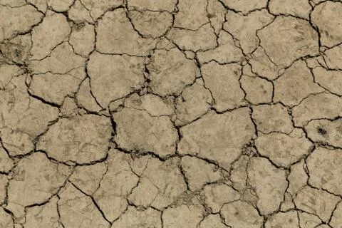 Dry land texture Stock Photos