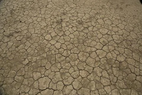 Dry land texture Stock Photos