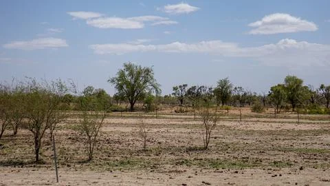 A Dry Landscape characterized by Sparse Vegetation set Under a Bright Blue .. Stock Photos