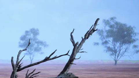 Dry landscape with a dead tree and distant foliage under a clear sky Stock Footage 345044881