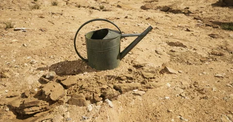 Dry landscape with an empty watering can abandoned in cracked soil Video stock 324709315