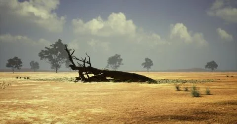 Dry landscape with fallen tree and sparse vegetation under cloudy sky 스톡 일러스트