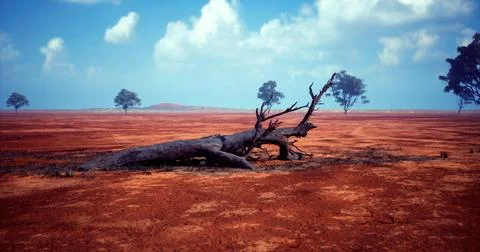Dry landscape with a fallen tree and sparse vegetation in daylight Stock Illustration