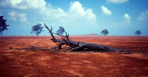 Dry landscape with fallen tree under a clear blue sky in the afternoon 库存插图