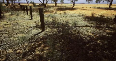 Dry landscape with fence posts under bright sunlight in the outback Stock Illustration
