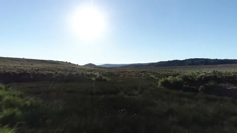 Dry landscape flyover brush Video stock 194164862