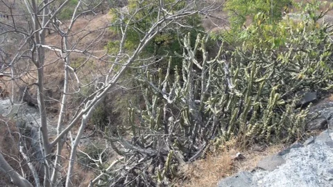 DRY LANDSCAPE Stock Footage 128617965