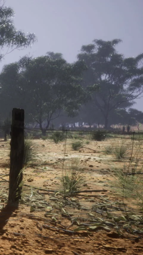 Dry landscape with grass and trees under a blue sky in the afternoon Stock Footage 333564491