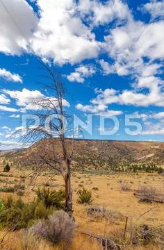 Dry Landscape Stock Photos