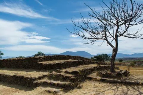 Dry landscape Stock Photos