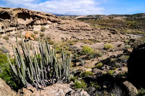 Dry landscape Stock Photos