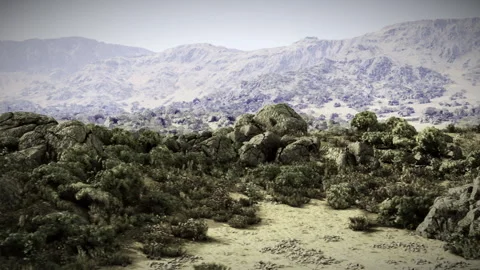 Dry landscape scene. Desolate land featuring rocks and distant hills Stock Footage 330293907