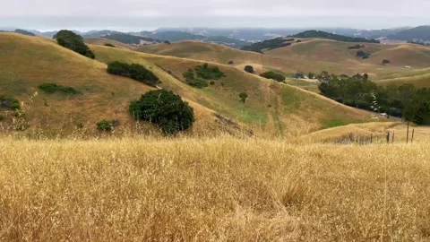 Dry Landscape Seen from a Small Hill Stock Footage 250192643