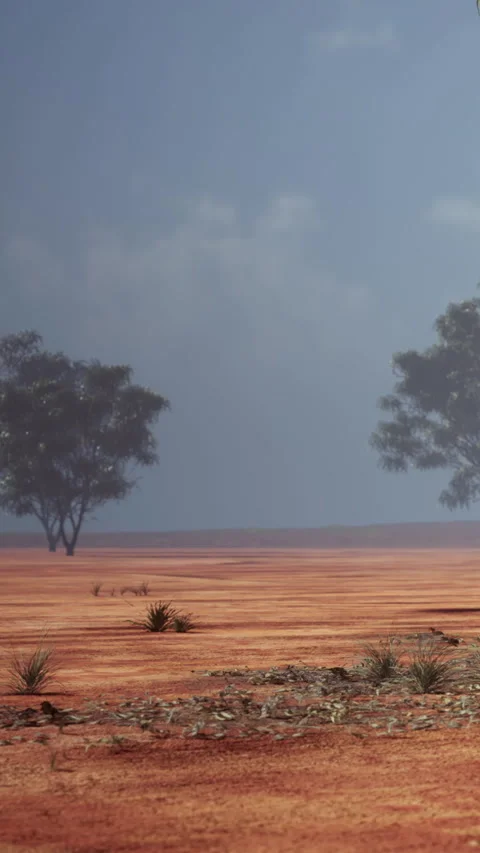 Dry landscape with a single tree under a cloudy sky during a quiet moment Stock Footage 338377369