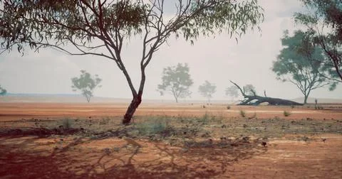 Dry landscape with sparse trees under a cloudy sky in a remote area 스톡 일러스트