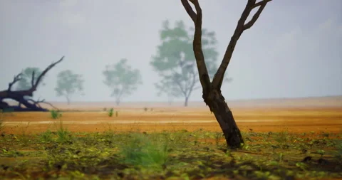 Dry landscape with sparse vegetation and distant trees under a bright sky Stock Footage 326348720