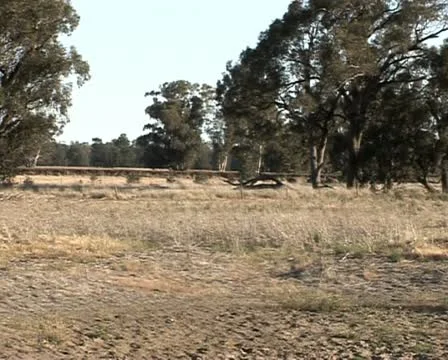 Dry landscape tilt to empty dam Australia drought Stock-Footage 21534112