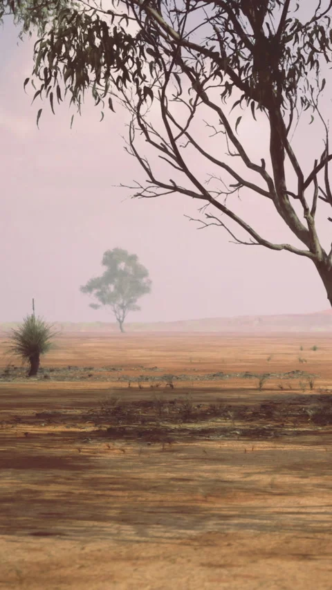 Dry landscape with trees and grass under a cloudy sky during daytime Stock Footage 332228044