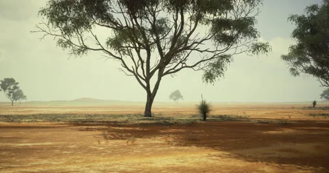 Dry landscape with trees in a vast arid zone during a calm day Video stock 314226850