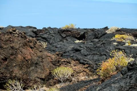 Dry Lava Texture 스톡 사진