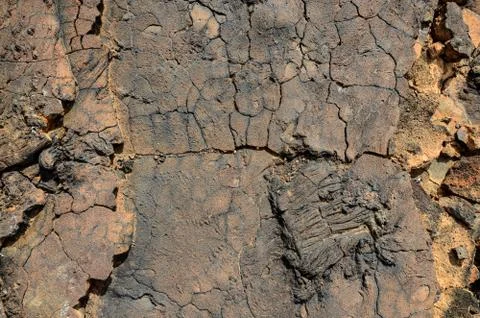 Dry Lava Texture 스톡 사진