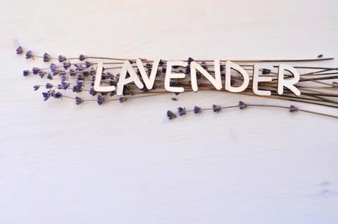 Dry lavender flowers with text Stock Photos