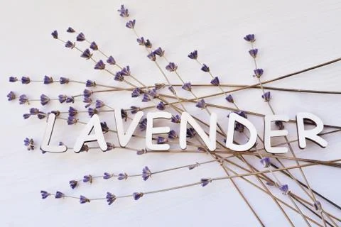 Dry lavender flowers with text Stock Photos