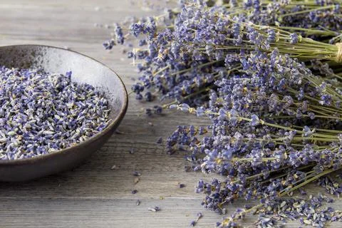 Dry lavender flowes Stock Photos