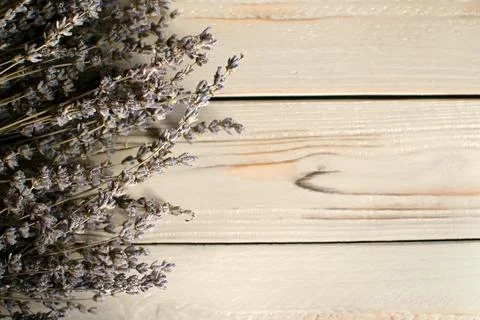 Dry lavender on a light background Stock Photos