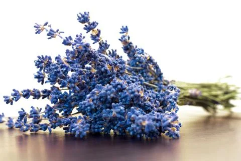 Dry lavender Stock Photos