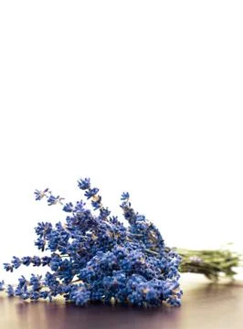 Dry lavender Stock Photos