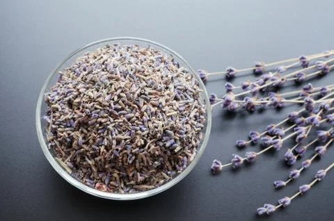 Dry lavender tea Stock Photos