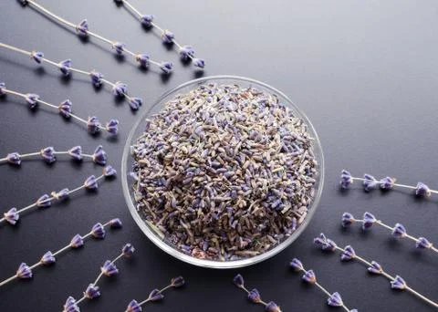 Dry lavender tea Stock Photos