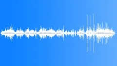 Dry Leaf 05 Sound Effect