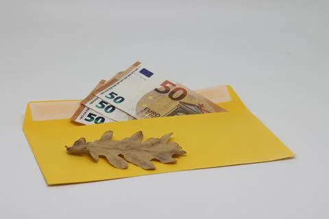 Dry leaf. banknotes in a yellow envelope. open envelope with banknotes on a l Stock Photos