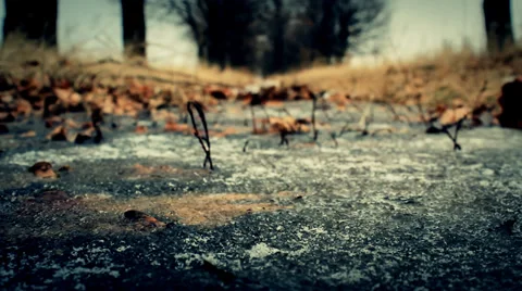 The dry leaf falls down on the ice Stock Footage 34380130