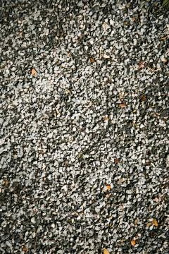 Dry leaf fell from their tree over gravel rock Stock Photos