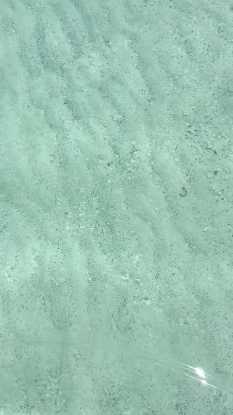 Dry leaf floating on turquoise water Stock Footage 166966689