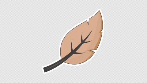 Dry leaf 스톡 동영상 336595901