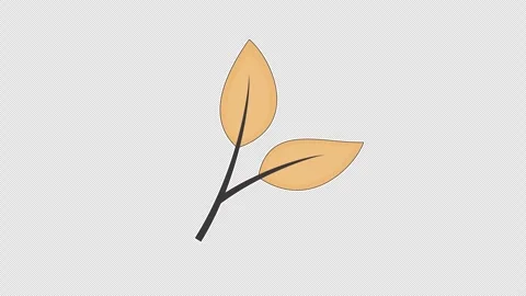 Dry leaf Stock Footage 337246837