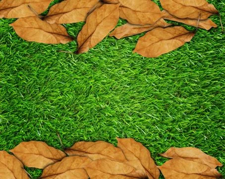 Dry Leaf Frame Background Stock Photos
