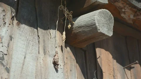 Dry leaf hangs on a barn Stock Footage 55632795