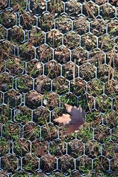 Dry leaf on hexagonal reinforcement with grass Foto stock