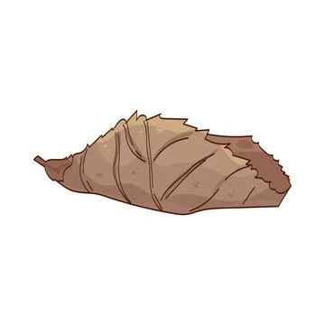Dry leaf illustration Stock Illustration